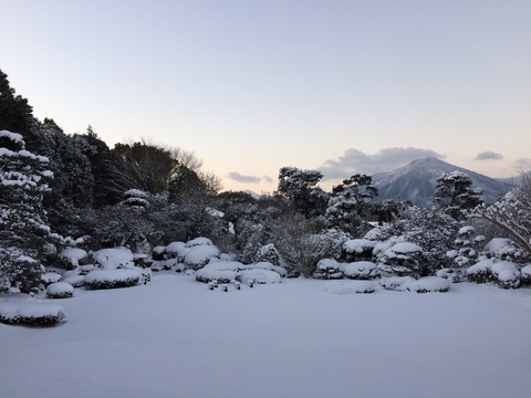 日向榧　駒台と雪のひなもり庭園