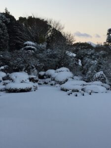 ひなもり庭園_雪2
