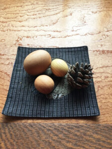 霧島杉_木の卵