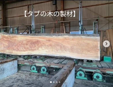 宮崎県産　タブの木の製材